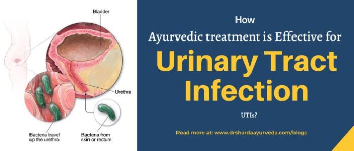 Urinary Tract Infection UTI